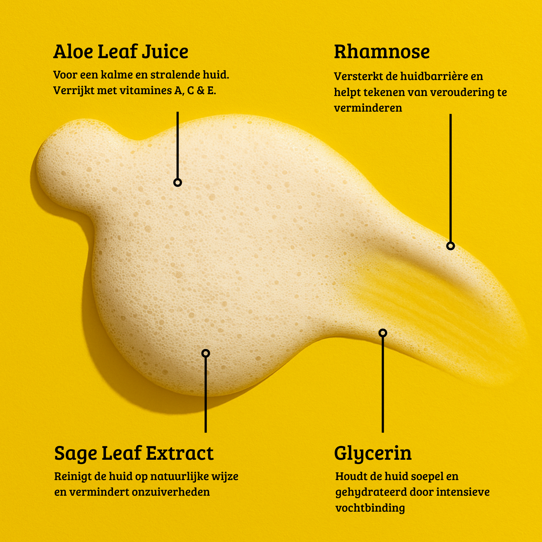 Aloe Moisture Mousse